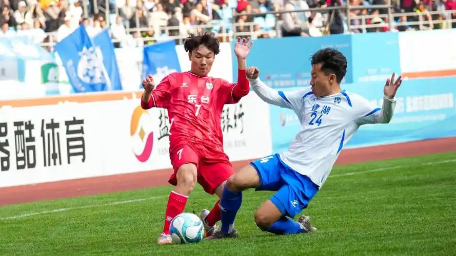 雨燕直播在线观看高清